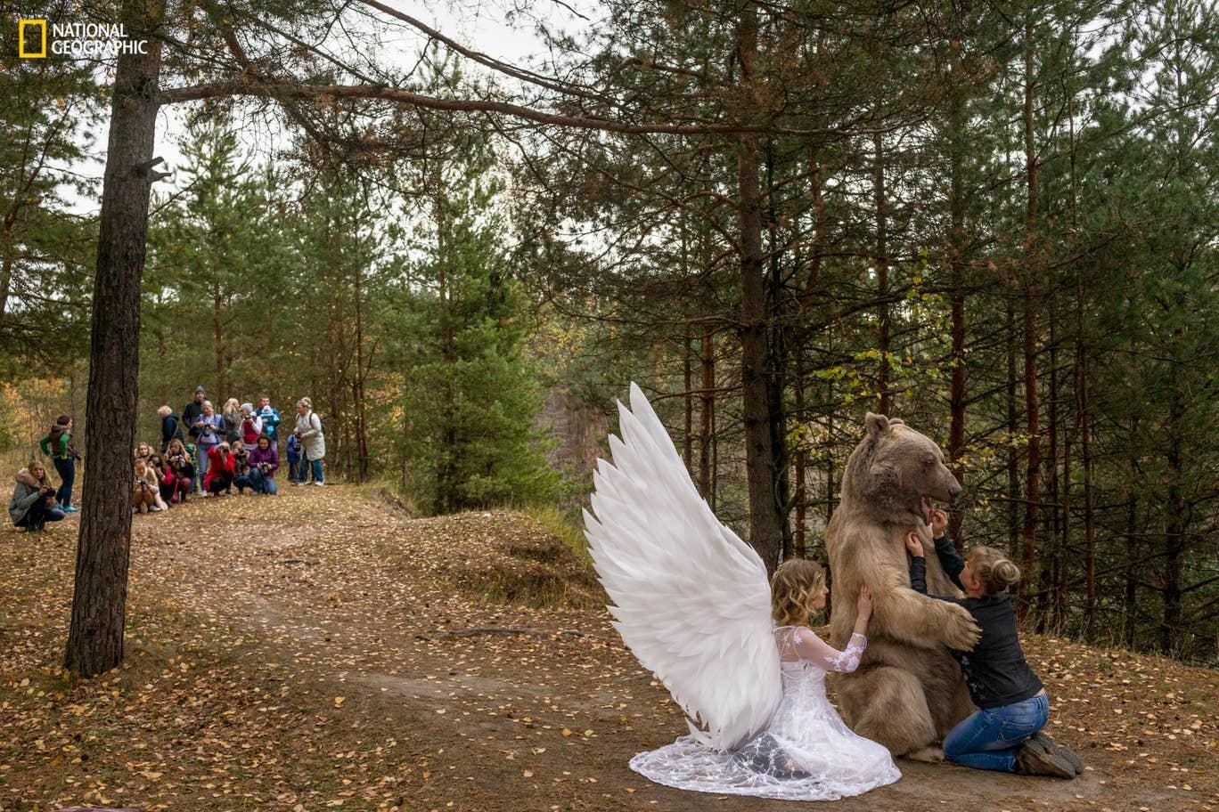 Cuoc song dong vat bi giam cam phuc vu du lich anh 10