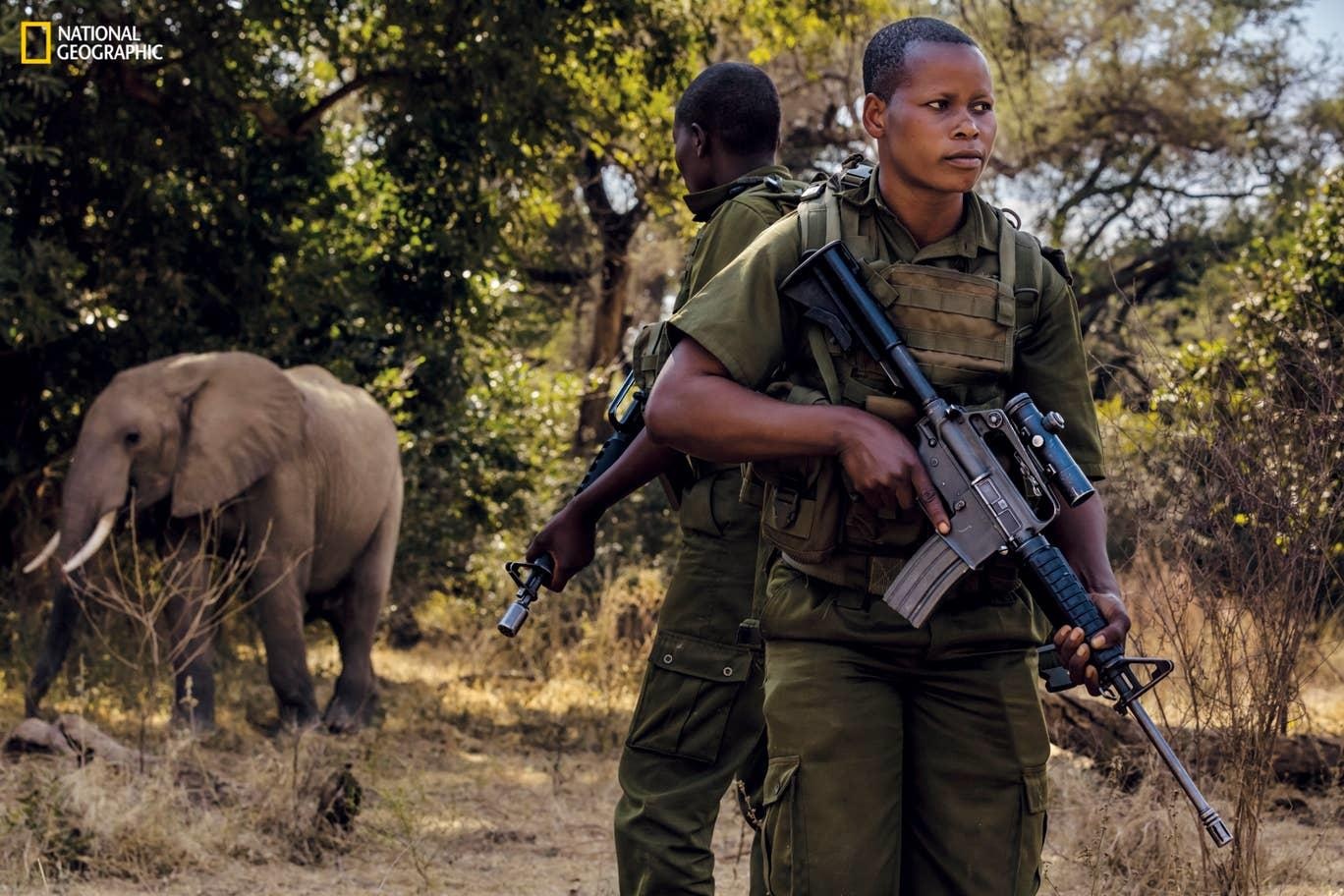 Cuoc song dong vat bi giam cam phuc vu du lich anh 12