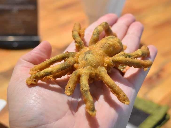 Quan ca phe phuc vu mon an tu nhen va con trung hinh anh