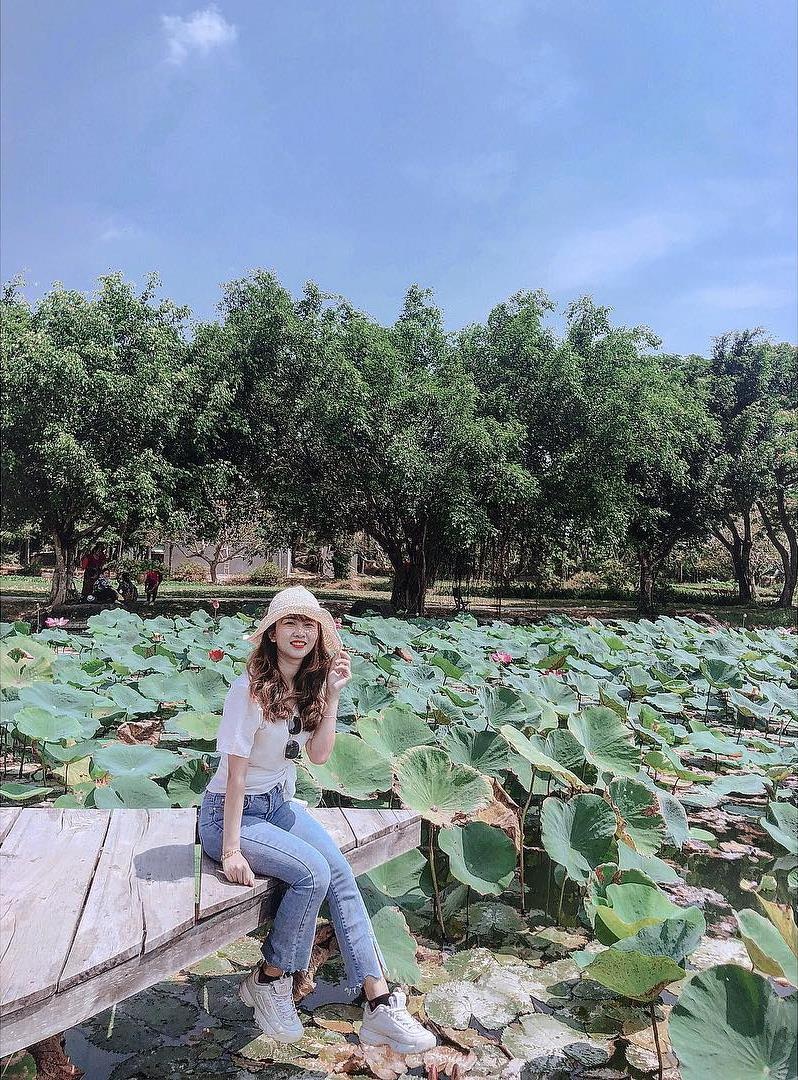 Dan mang tranh cai cong vien Suoi Mo sen hay dep anh 1