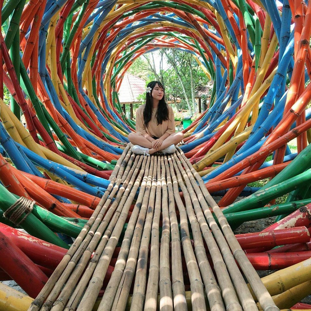 Dan mang tranh cai cong vien Suoi Mo sen hay dep anh 12