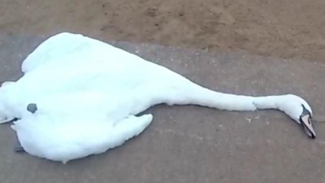 Du khach doi mat voi an tu vi giet hai thien nga anh 1