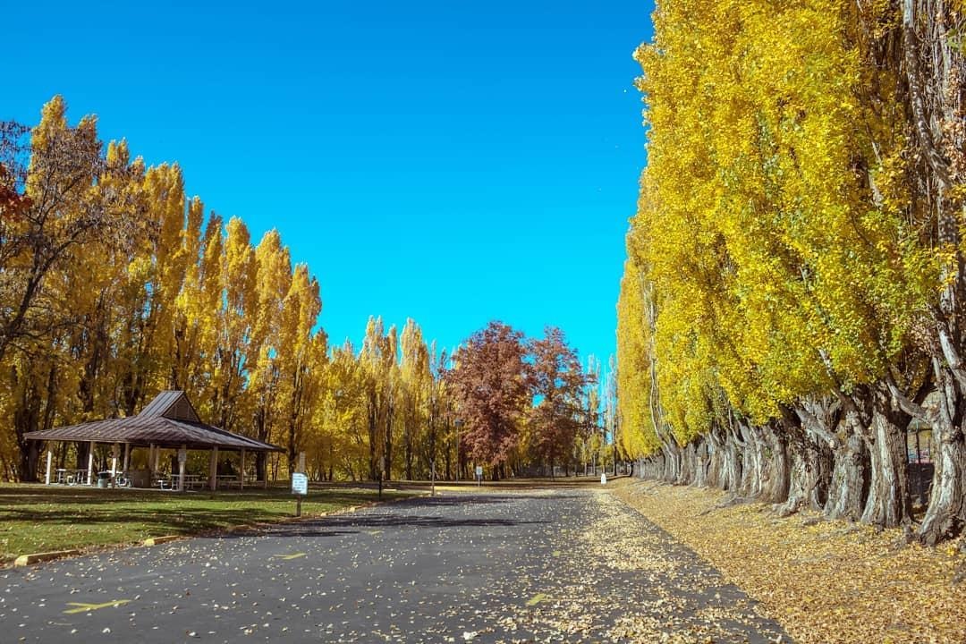 Seattle - Thành phố đáng sống nhất nước Mỹ  ảnh 6 Seattle - Thanh pho dang song nhat nuoc My anh 6
