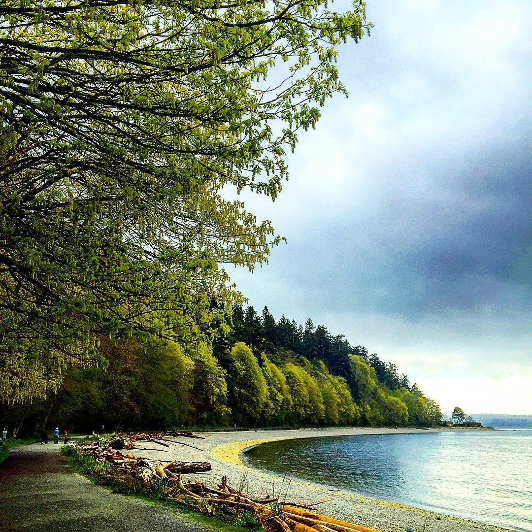 Seattle - Thành phố đáng sống nhất nước Mỹ  ảnh 10 Seattle - Thanh pho dang song nhat nuoc My anh 10