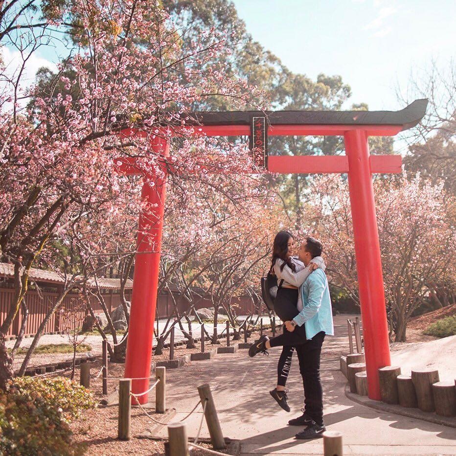 Ngam hoa anh dao no ro anh 6