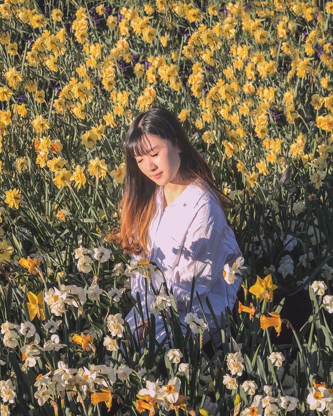 Ngam hoa anh dao no ro anh 18