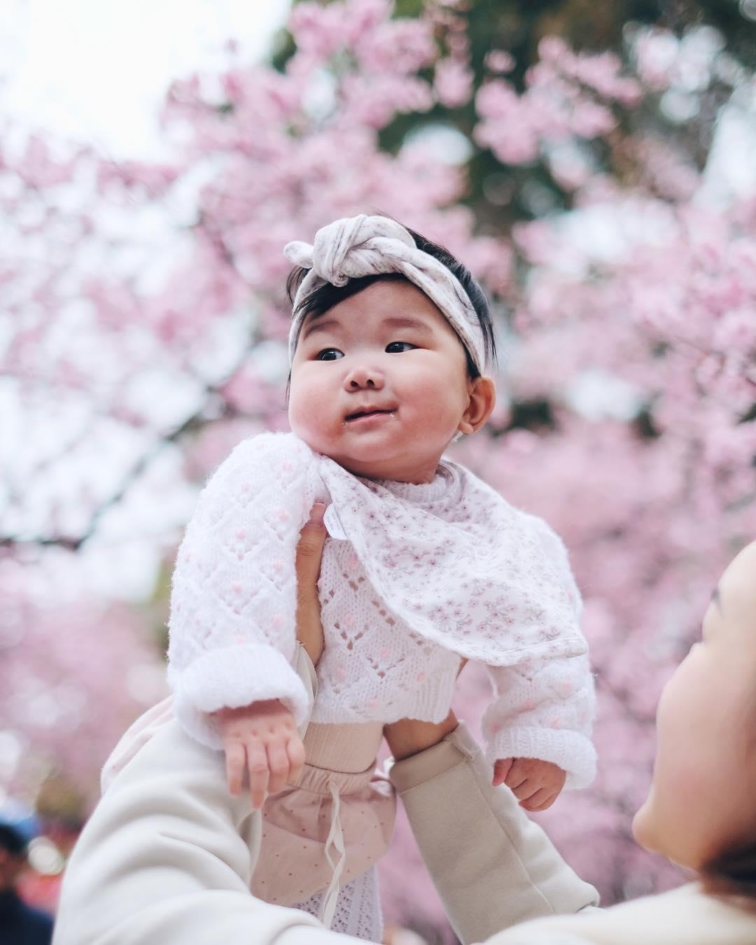 Ngam hoa anh dao no ro anh 7