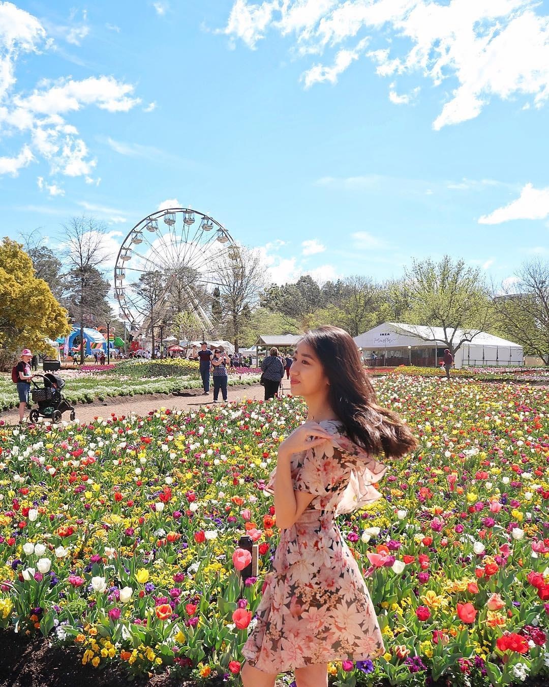 Ngam hoa anh dao no ro anh 16