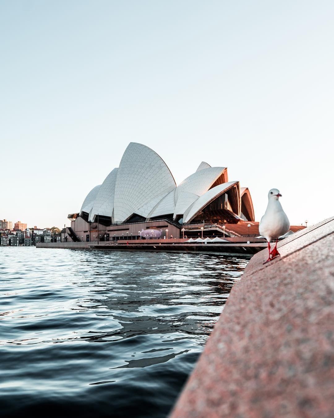 Ngam hoa anh dao no ro anh 1