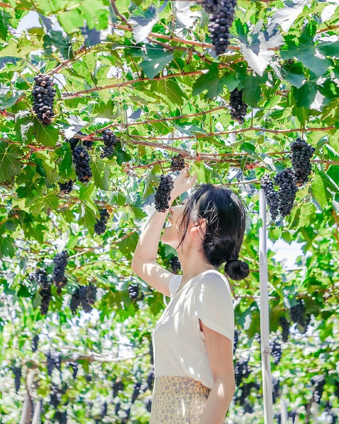 Check-in Ninh Thuan anh 25