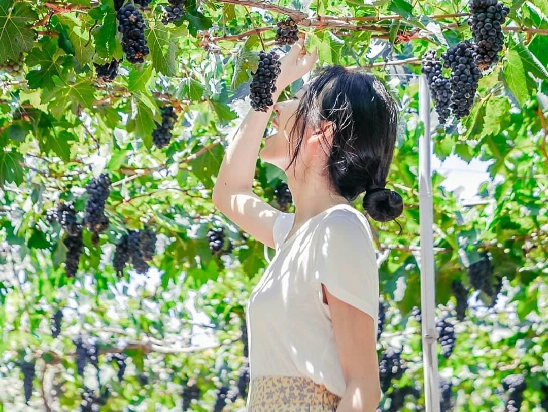 Check-in Ninh Thuan, thien duong moi cua tin do du lich hinh anh