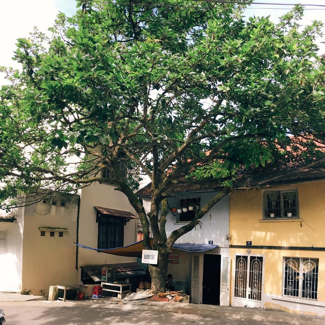 Truy tim 5 quan banh can o Da Lat anh 16