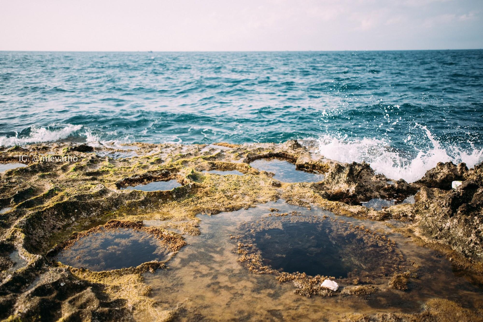 Check-in Ninh Thuan anh 19