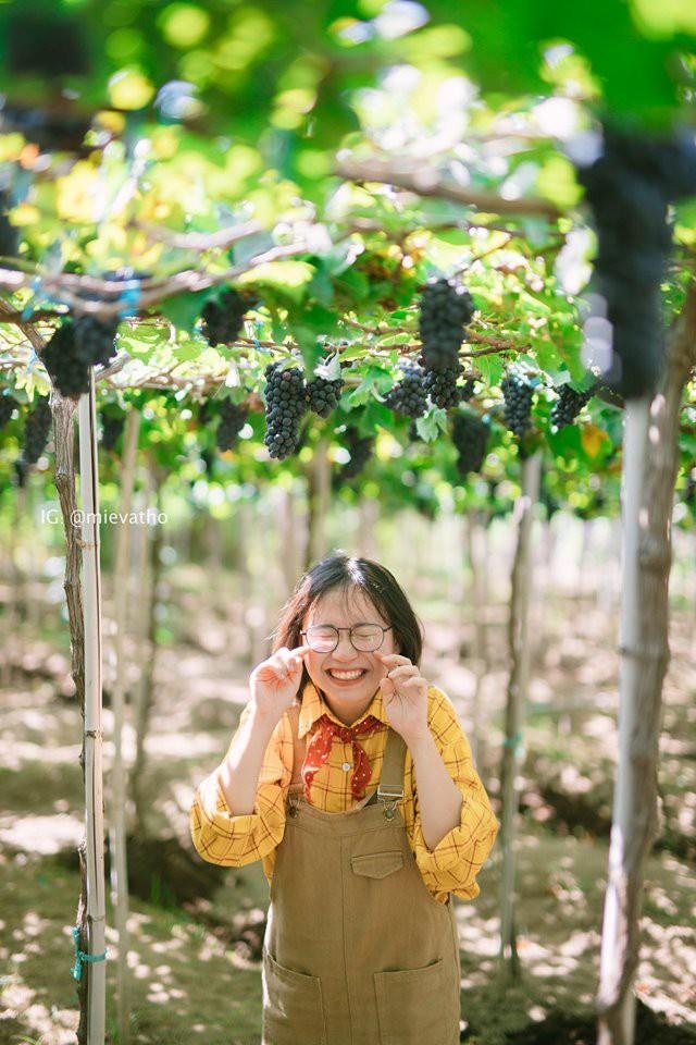 Check-in Ninh Thuan anh 24