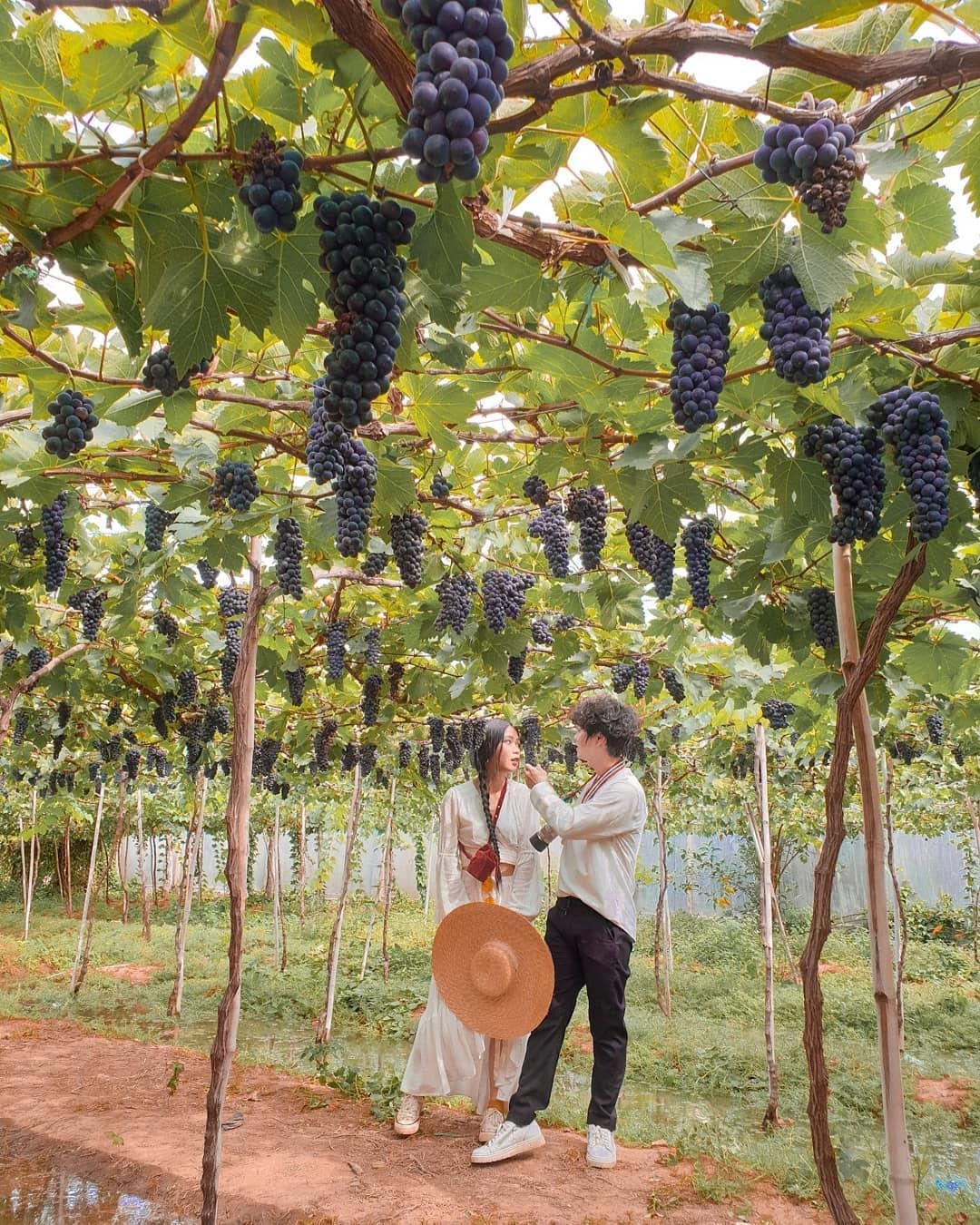 Check-in Ninh Thuan anh 22