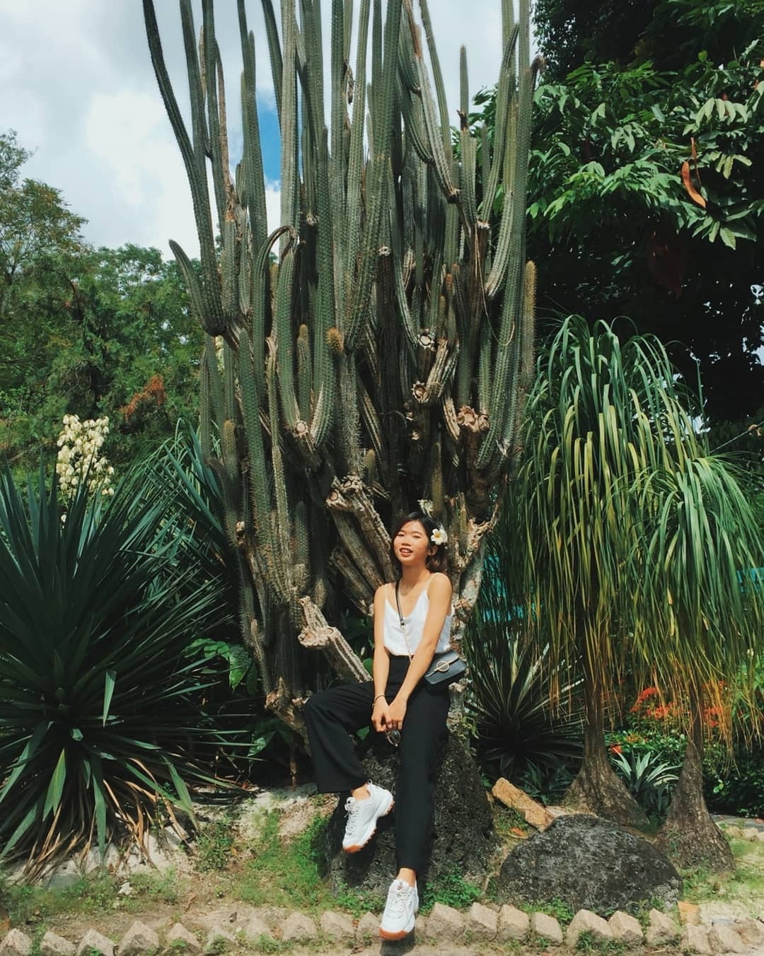 Thao Cam vien TP.HCM anh 7