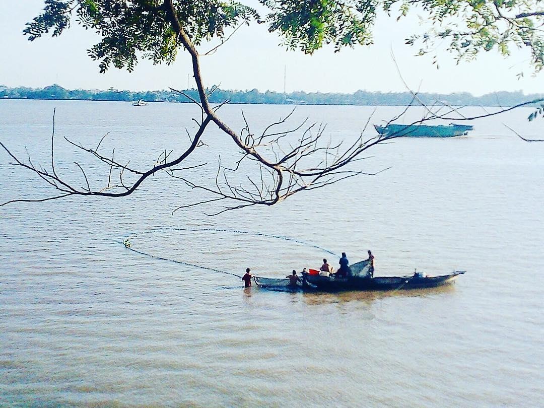 quan ca phe lo lung tren cay mat ruoi o Can Tho anh 10