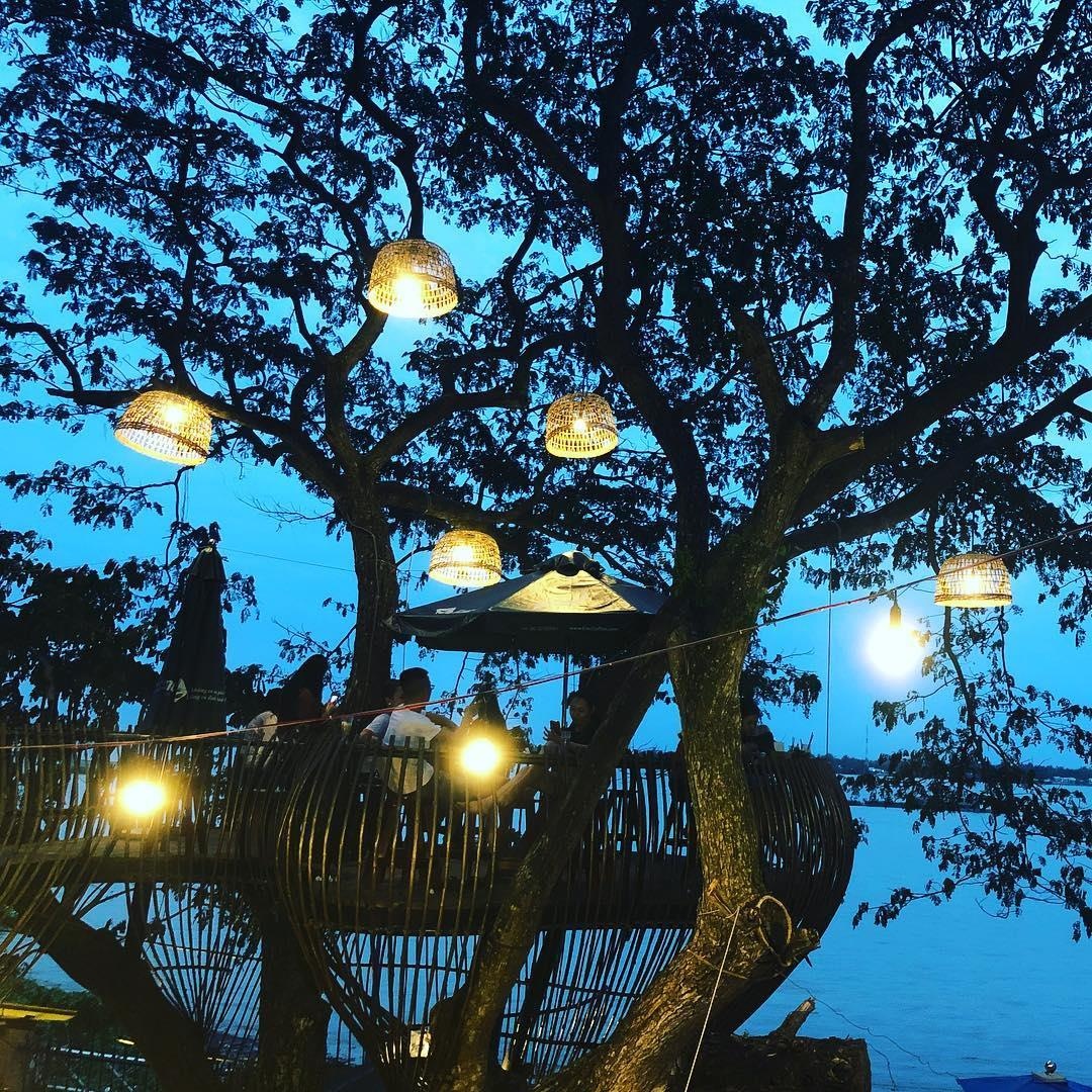 quan ca phe lo lung tren cay mat ruoi o Can Tho anh 11