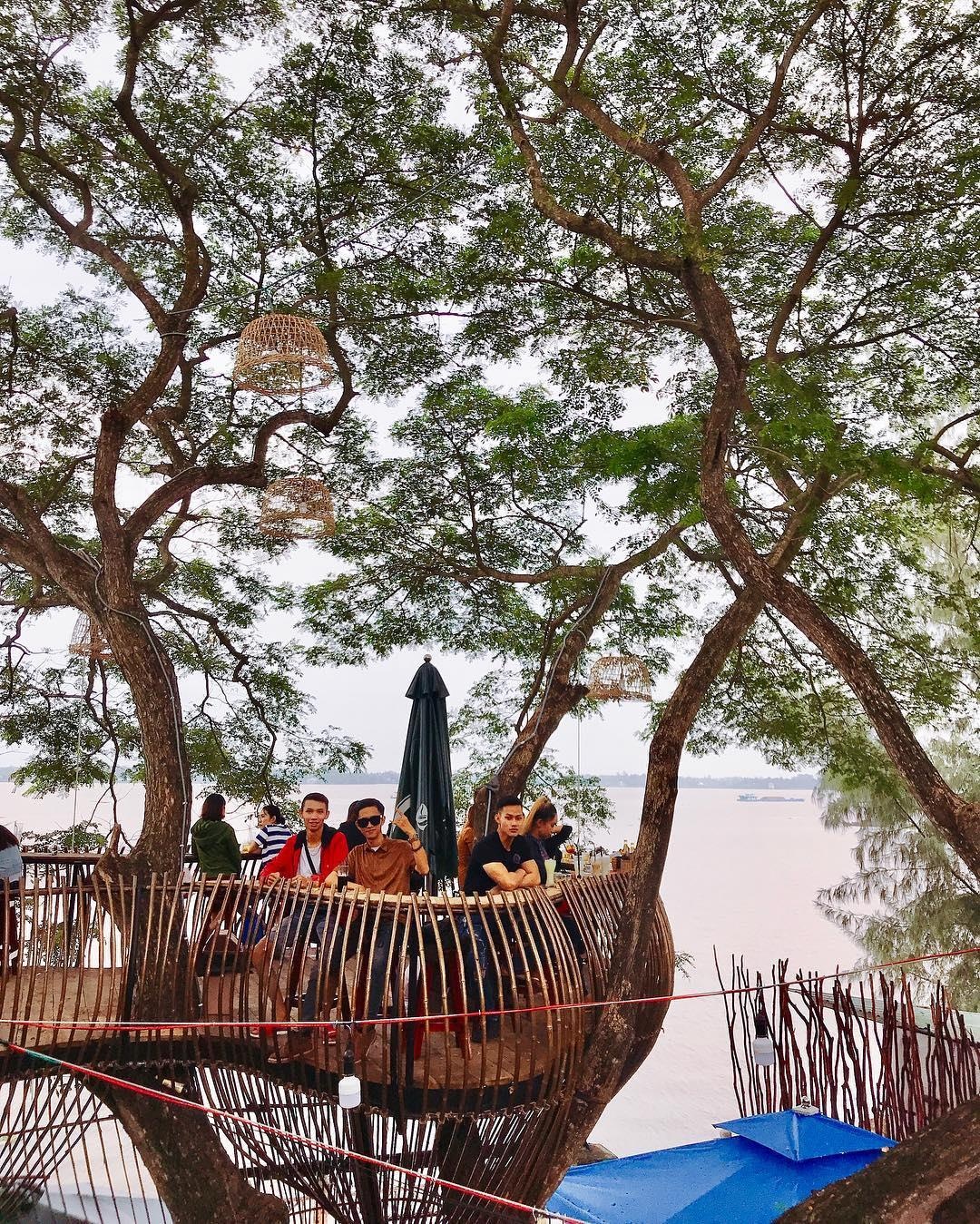 quan ca phe lo lung tren cay mat ruoi o Can Tho anh 2