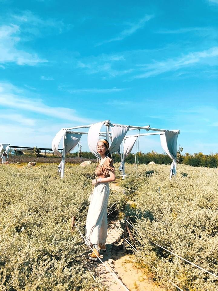 Toa do check-in moi toanh ven bien Quy Nhon anh 11