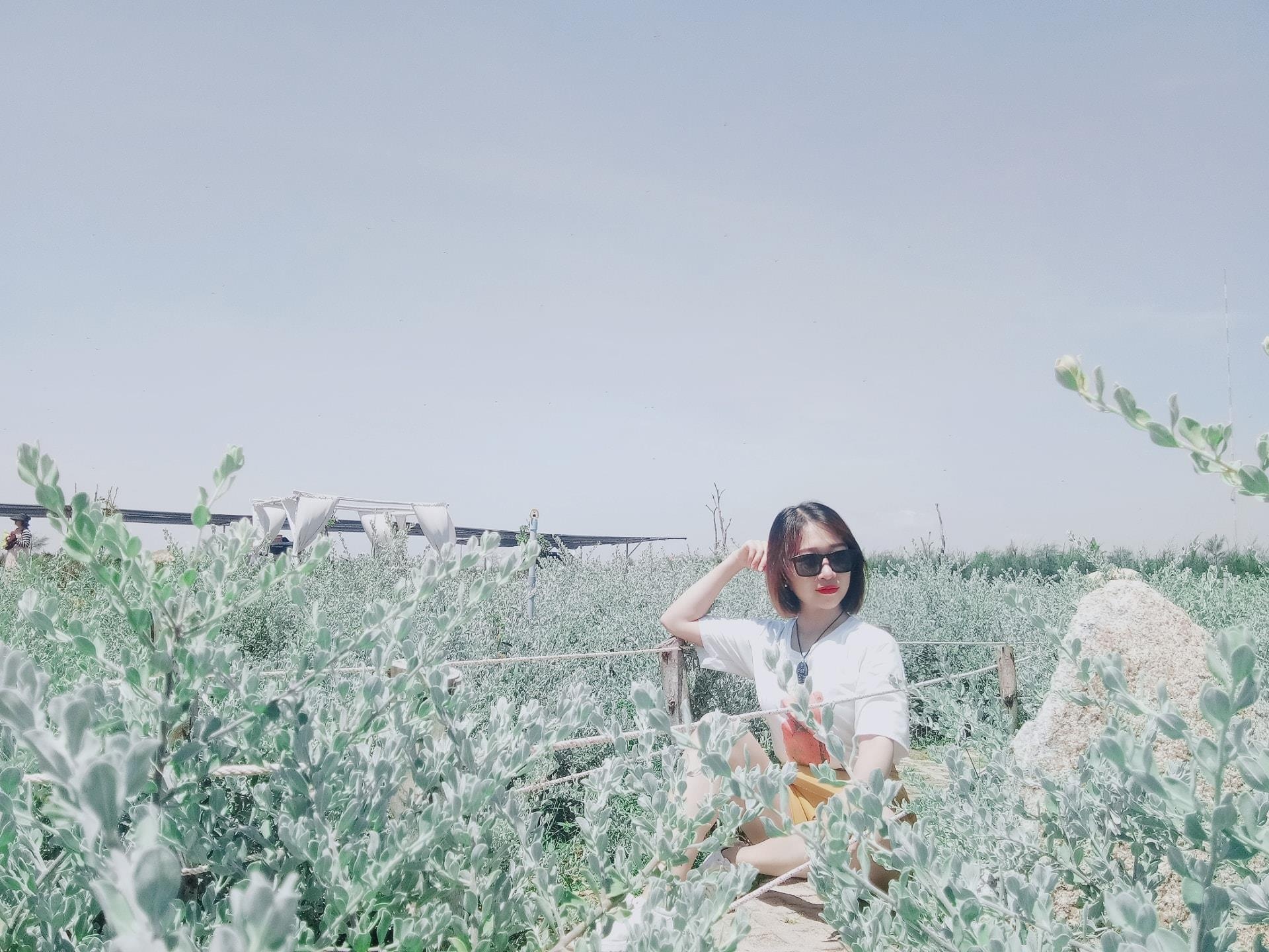 Toa do check-in moi toanh ven bien Quy Nhon anh 15