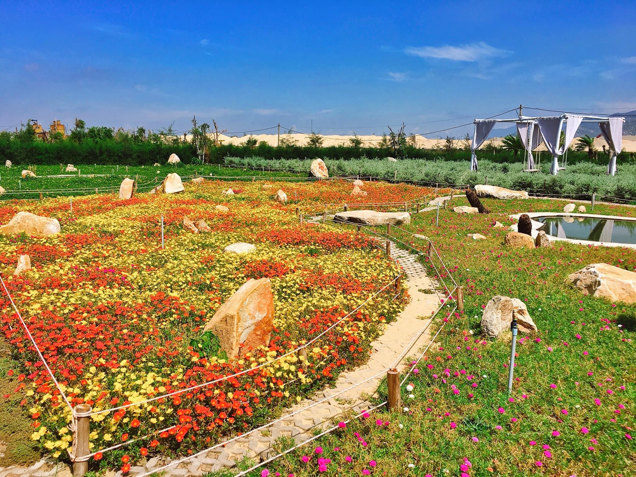 Toa do check-in moi toanh ven bien Quy Nhon anh 13