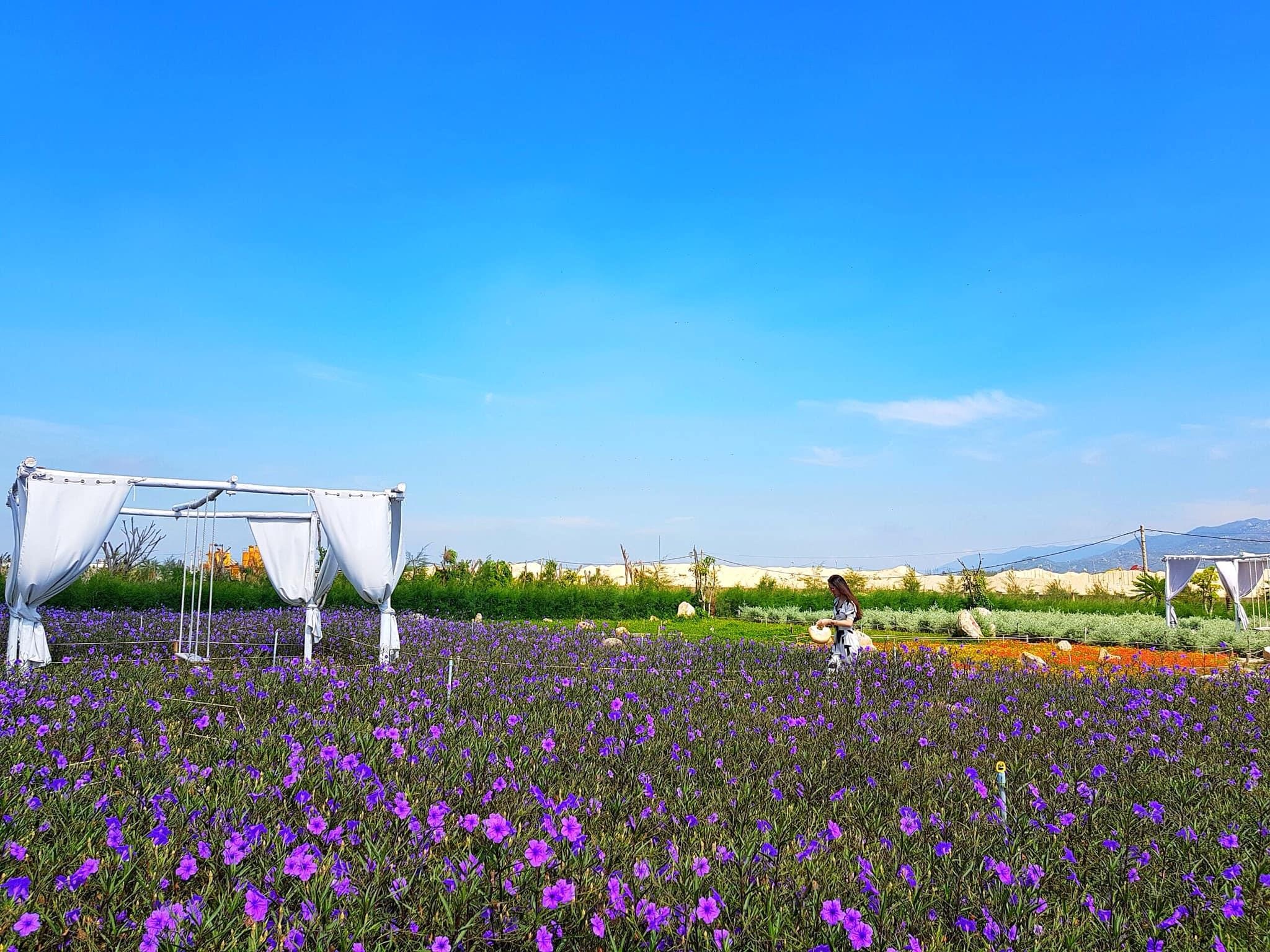 Toa do check-in moi toanh ven bien Quy Nhon anh 14