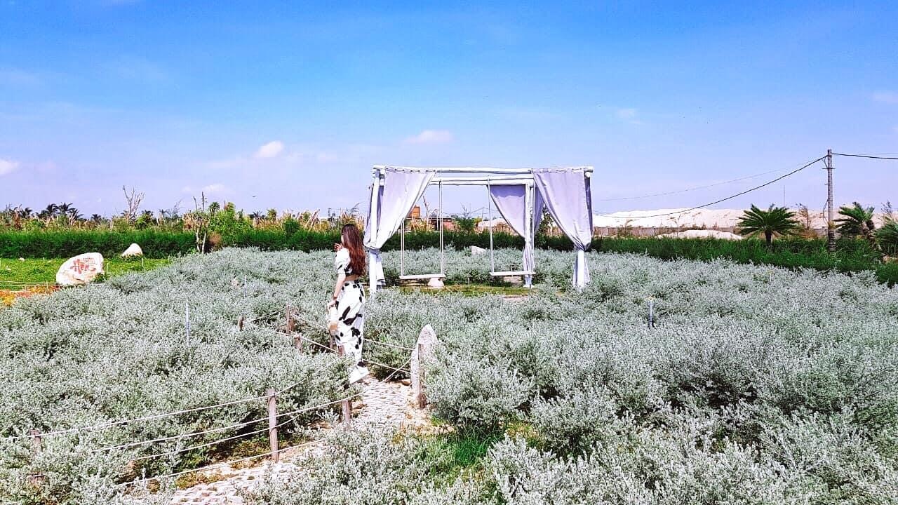 Toa do check-in moi toanh ven bien Quy Nhon anh 12