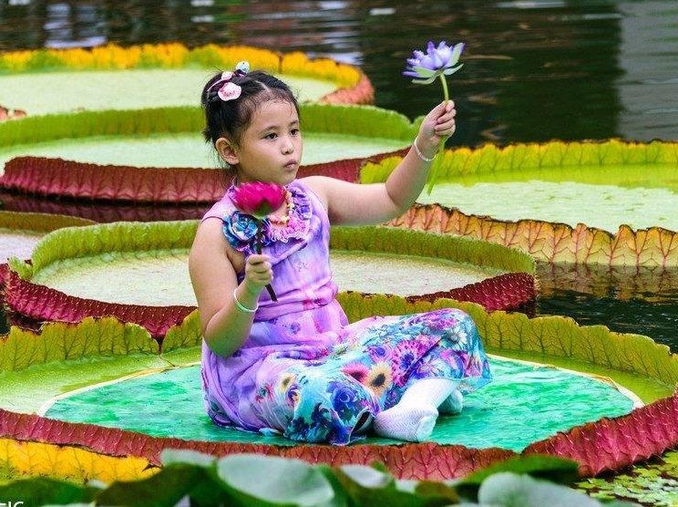 La sen khong lo 'cong' nguoi nang 70 kg hut khach o Trung Quoc hinh anh