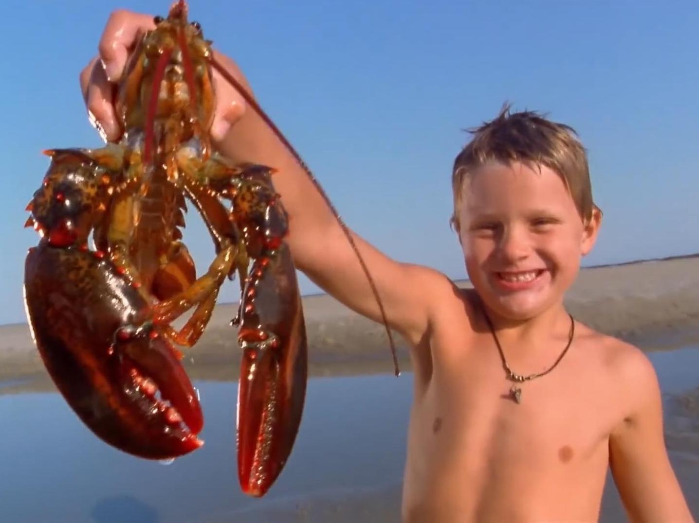 Giai ma ly do tom hum tro thanh mon an dat do bac nhat the gioi hinh anh