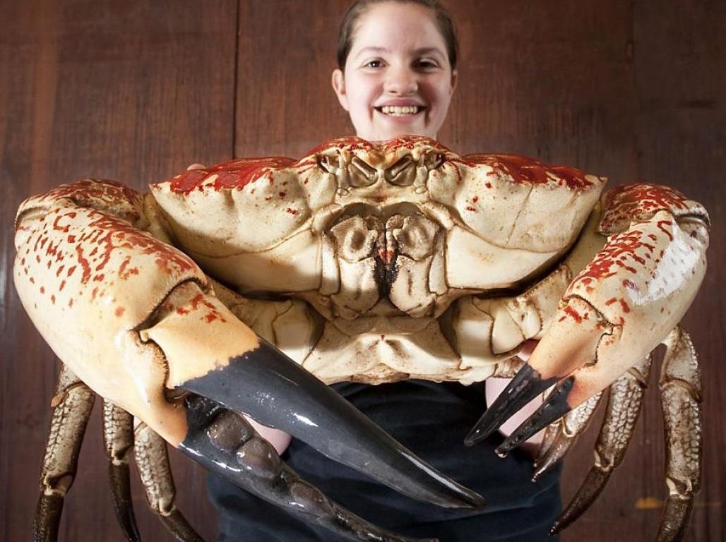 Chi gan 2.000 USD thuong thuc cua khong lo, phai dung bua dap cang hinh anh