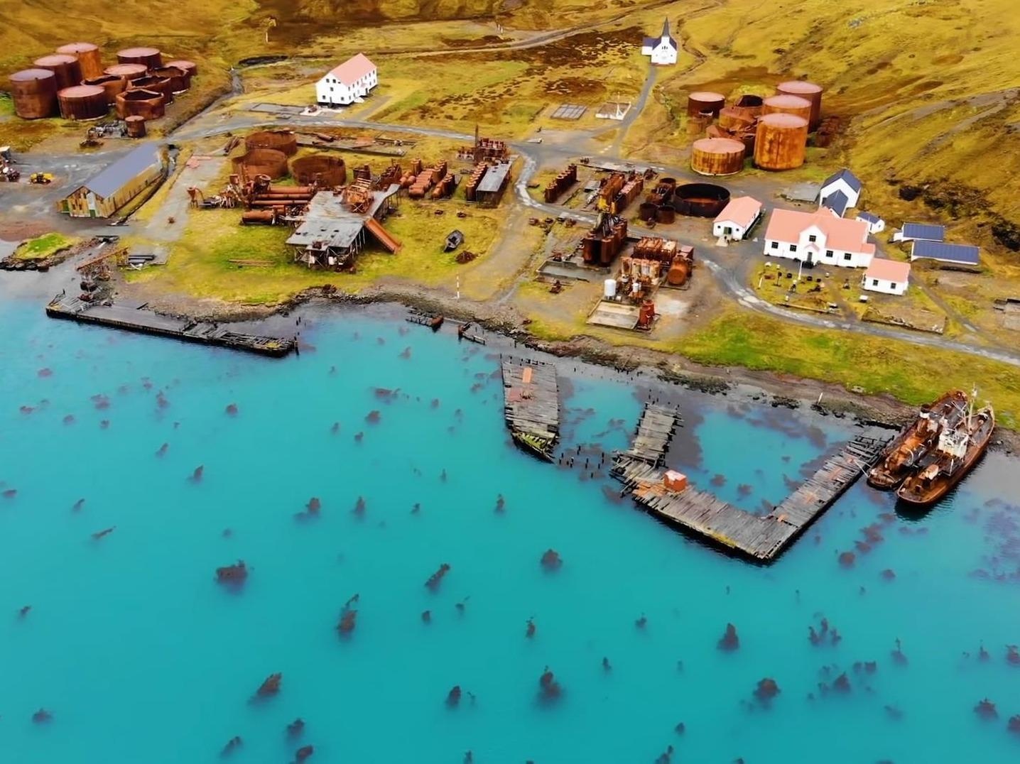 Ghe tham 'thi tran ma', noi o cua hon 3 trieu chim canh cut hinh anh