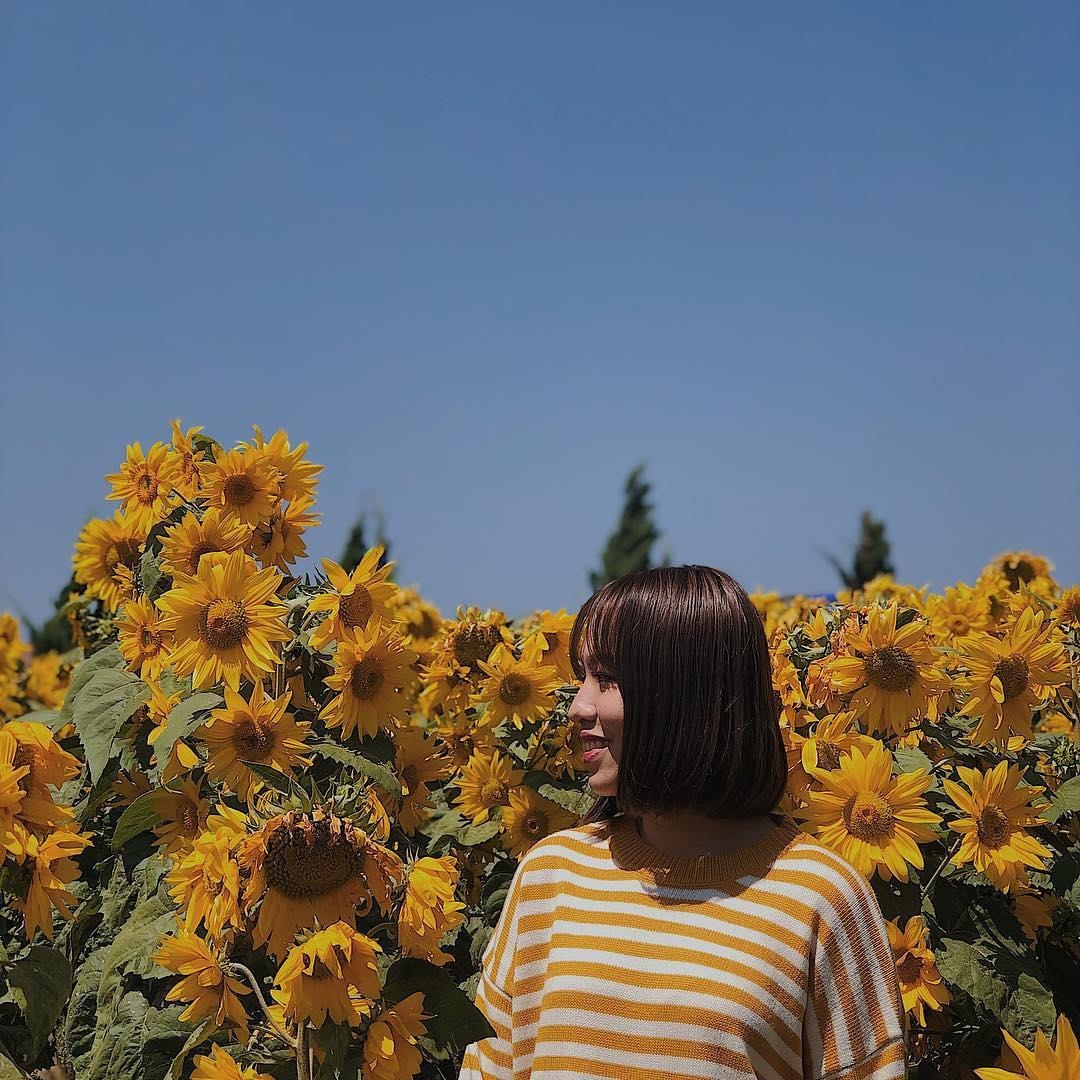 trai nghiem giup du khach kham pha tron ven Da Lat anh 8