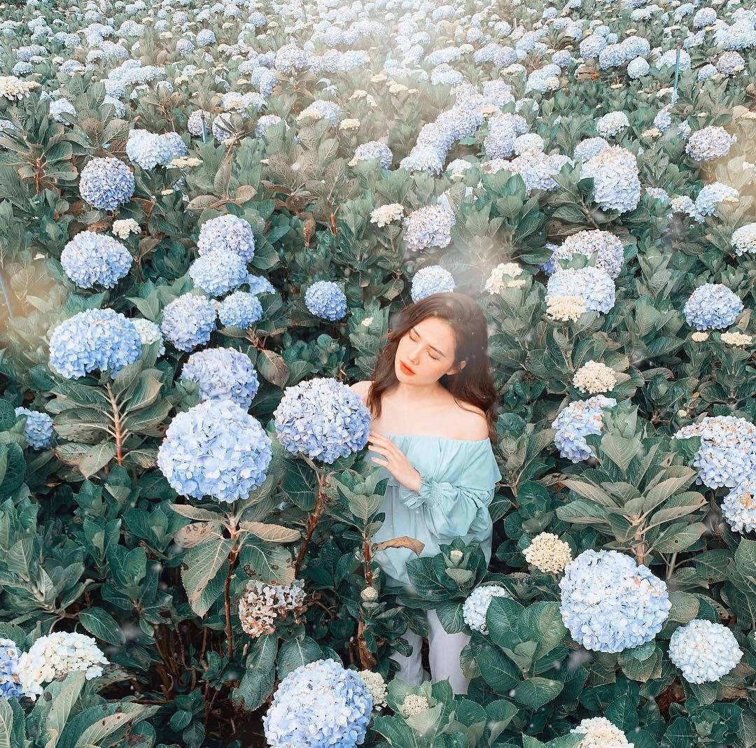 trai nghiem giup du khach kham pha tron ven Da Lat anh 9