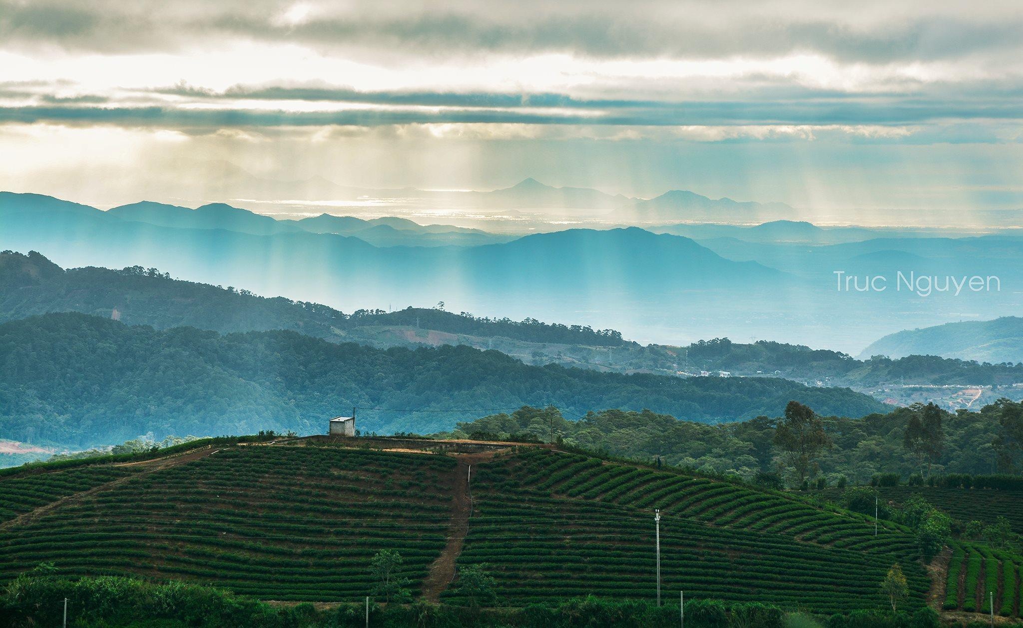 trai nghiem giup du khach kham pha tron ven Da Lat anh 26