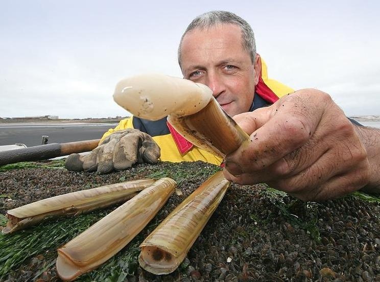 Oc mong tay duoc bat the nao? hinh anh