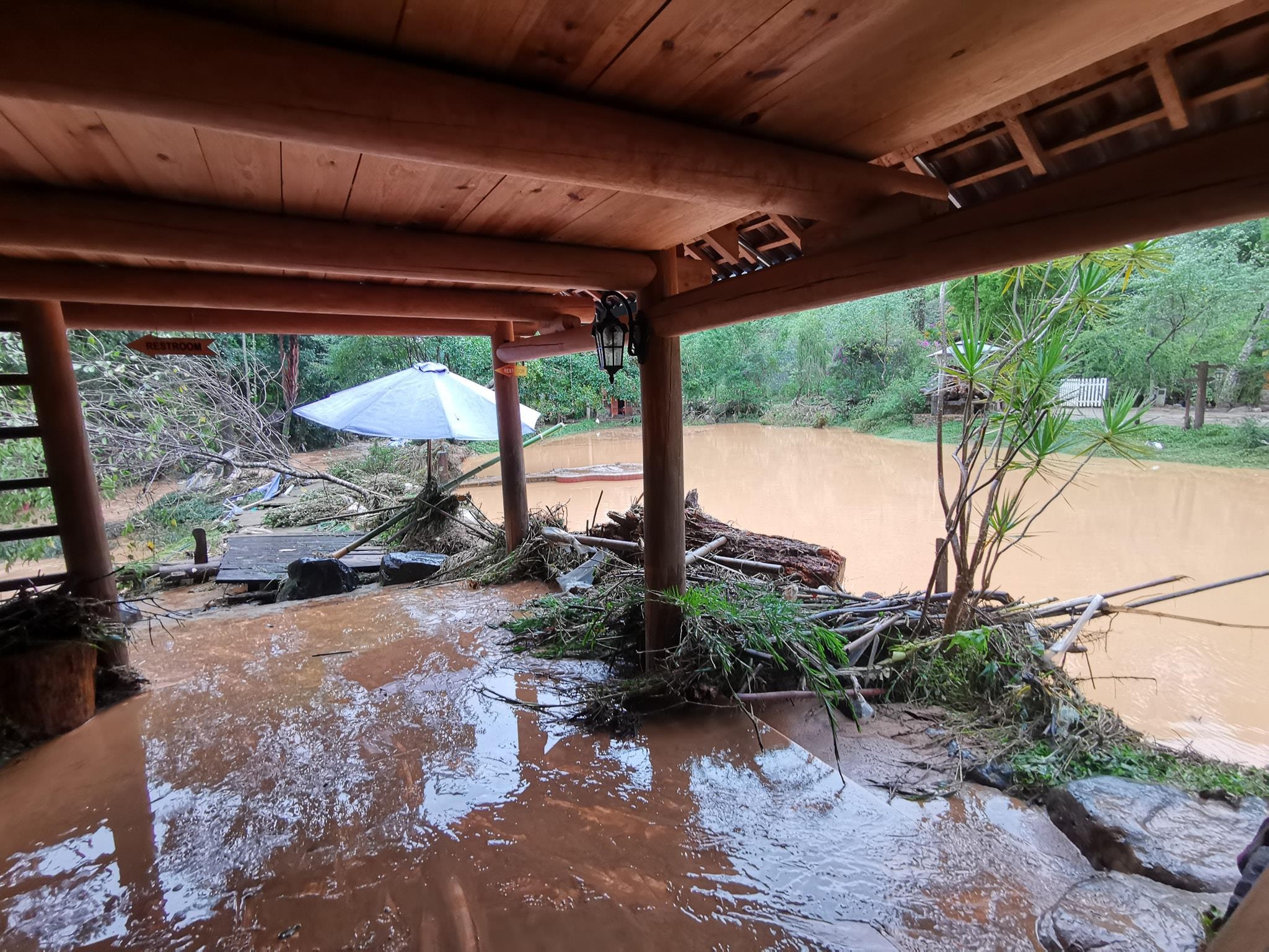 Ma Rung Lu Quan Da Lat anh 1