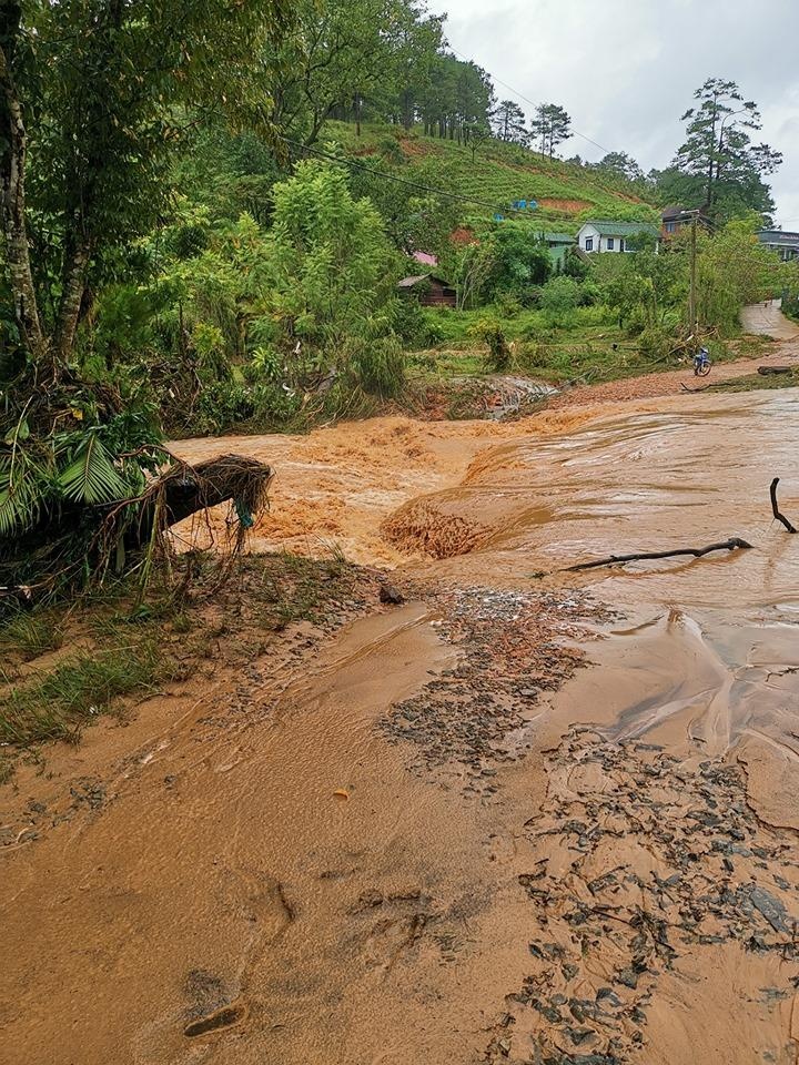Ma Rung Lu Quan Da Lat anh 2