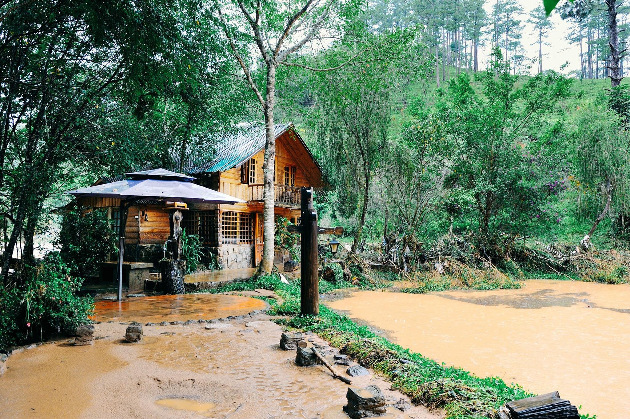 Ma Rung Lu Quan Da Lat anh 4