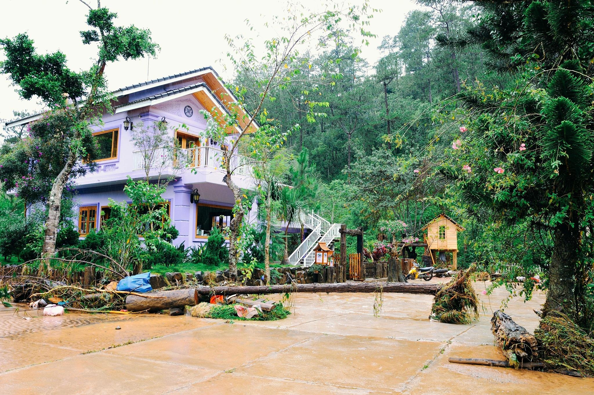 Ma Rung Lu Quan Da Lat anh 5