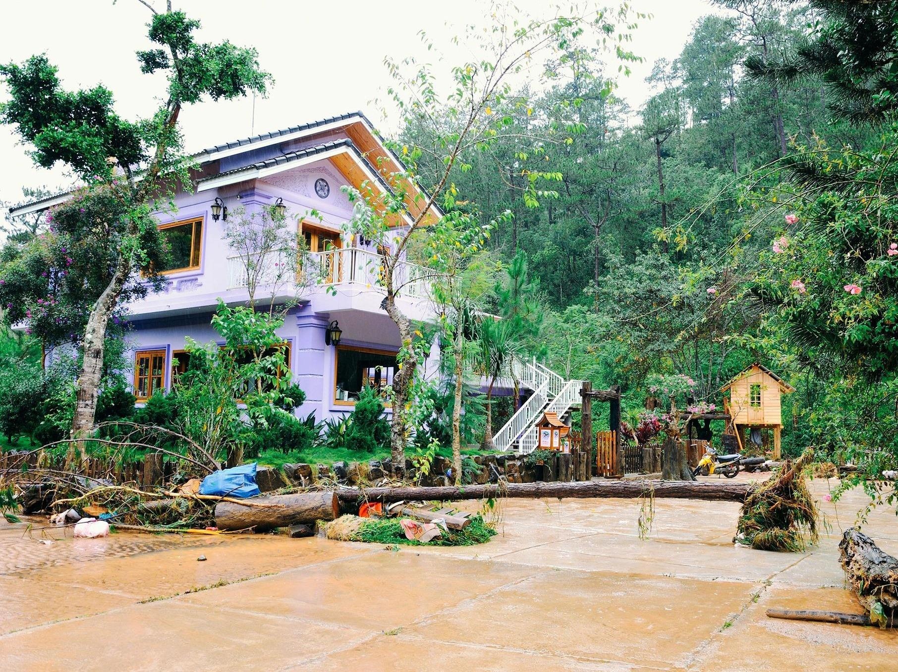 Gioi tre tiec nuoi diem check-in noi tieng Da Lat tan hoang sau lu hinh anh