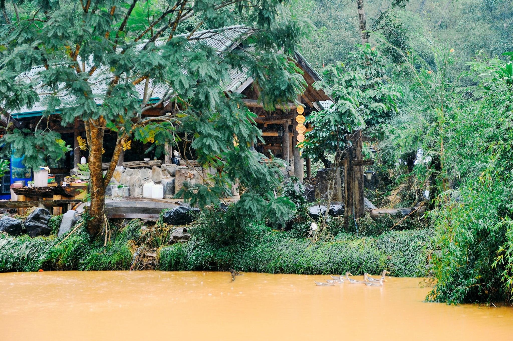 Ma Rung Lu Quan Da Lat anh 6