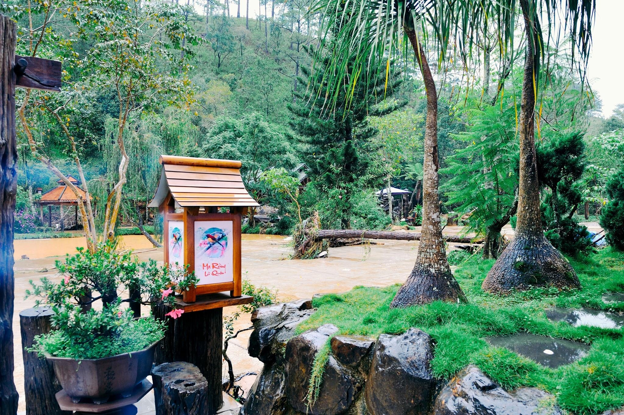 Ma Rung Lu Quan Da Lat anh 3