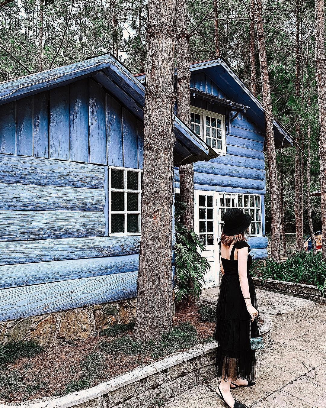 Ma Rung Lu Quan Da Lat anh 10