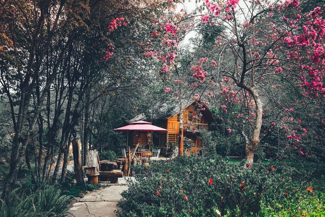 Ma Rung Lu Quan Da Lat anh 7