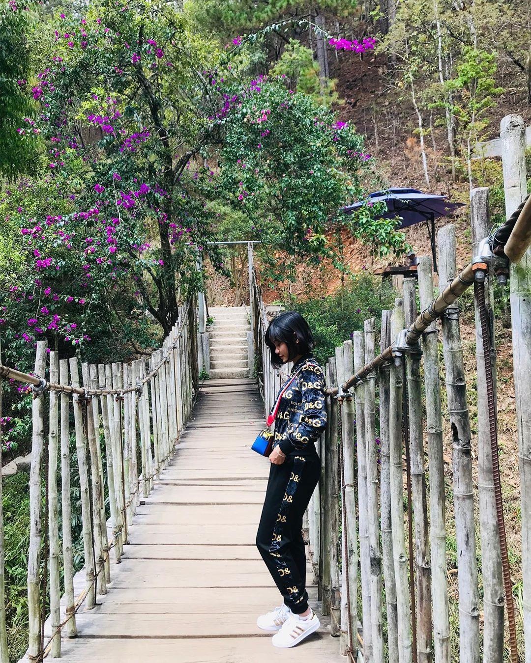 Ma Rung Lu Quan Da Lat anh 12