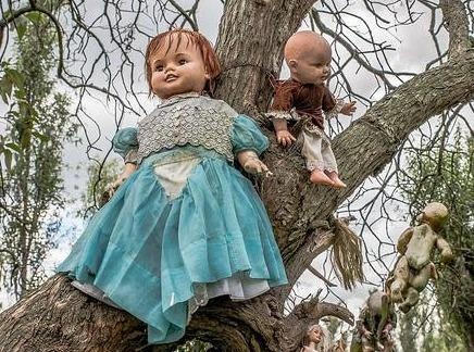 Dao bup be va 4 diem den ky quac hut khach check-in hinh anh