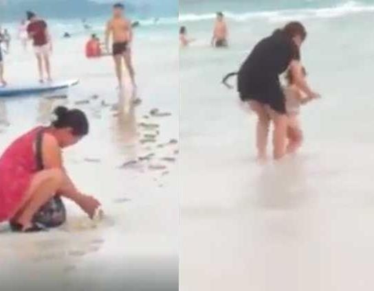 Bai bien Philippines dong cua vi du khach chon bim xuong cat hinh anh