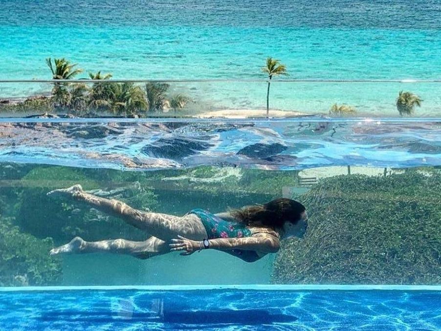 Boi tren cay cau trong suot view bien Caribbean tuyet dep hinh anh