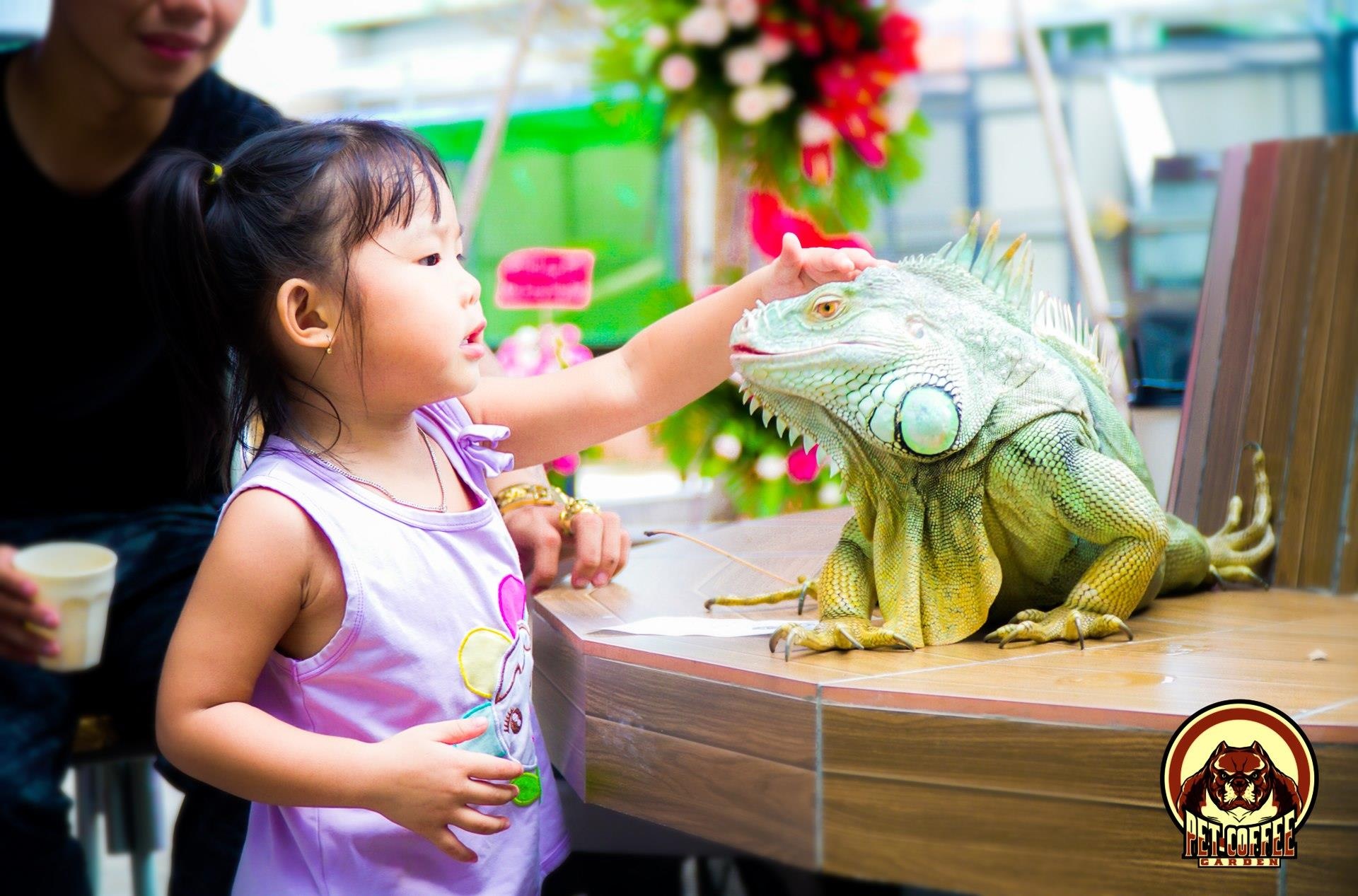 ca phe thu cung TP..HCM anh 7